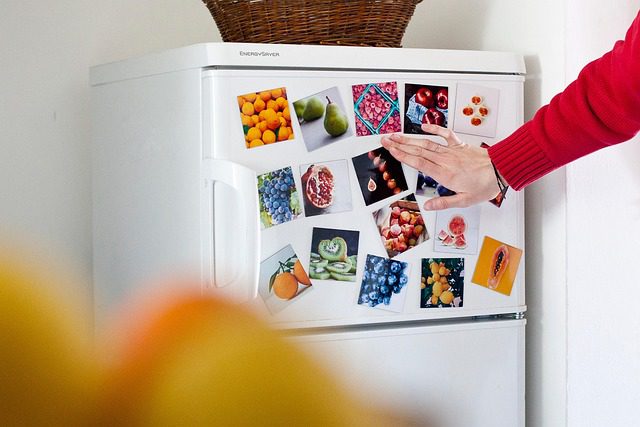 Refrigerator Repair Orlando